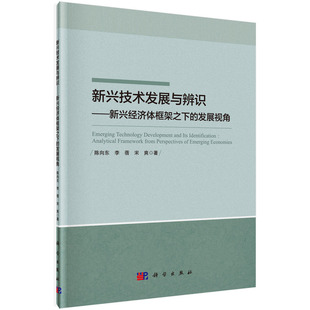 发展视角科技专业李蓓宋爽新兴经济中国经济发展现实研究参考阅读使用 新兴技术发展与辨识——新兴经济体框架之下 正版 书籍