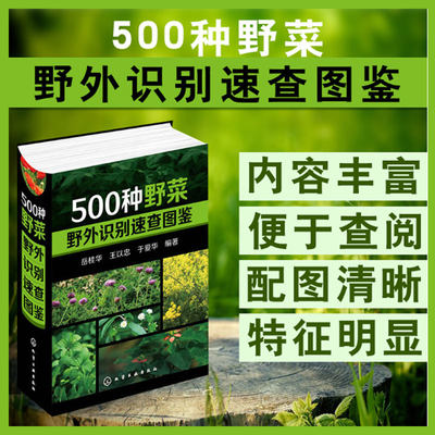 现货包邮】500种野菜野外识别速查图鉴野菜图鉴大全中国野菜野果植物菌类图鉴图谱一本通自然科学生物科学植物学健康饮食养生食谱