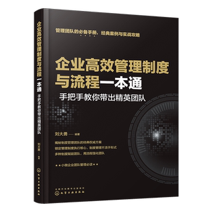 手把手教你带出精英团队 企业高效管理制度与流程一本通 刘大勇高效管理企业经营管理书人事与行政管理流程设计沟通 书籍 正版