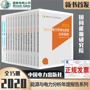 能源与电力分析年度报告系列2020中国能源电力发展能源分析与展望电网发展分析报告国网能源研究院中国电力出版 社 全15册