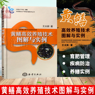 科学饲养黄鳝书籍 现货 鳝鱼水产高效养殖书 黄鳝水产养殖技术大全书籍 鳝鱼繁殖防治病技术 黄鳝高效养殖技术图解与实例