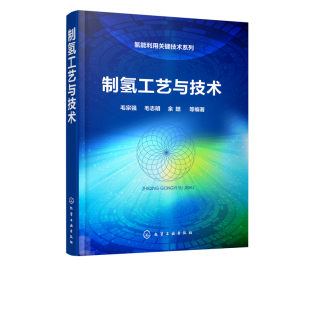 书籍 零CO2排放制氢技术方法书籍制氢工艺可供从事能源研究 氢能利用关键技术系列 毛宗强 工程技术参考教 制氢工艺与技术 正版