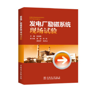 吴晓宇 电力网及电力系统 发电厂励磁系统现场试验 输配电工程 电工技术 朱良合工业技术 陈锐 盛超 张俊峰 书籍 正版