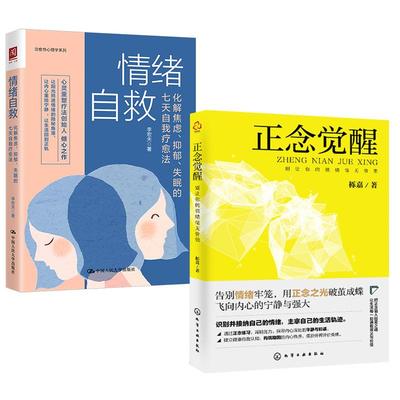 2册正念觉醒：别让你的情绪毫无价值栎嘉+情绪自救：化解焦虑、抑郁、失眠的七天自我疗愈法李宏夫自我治疗自愈做自己的心理医生