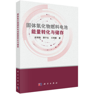 王雨晴工业技术 蔡宁生 固体氧化物燃料电池能量转化与储存史翊翔 正版 能源与动力工程9787030619600科学出版 书籍 社