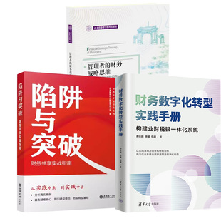 陷阱与突破 财务共享实战指南 管理者 企业决策与风险控制 财务数字化转型实践手册 财务战略思维 企业决策风险控制 全3册