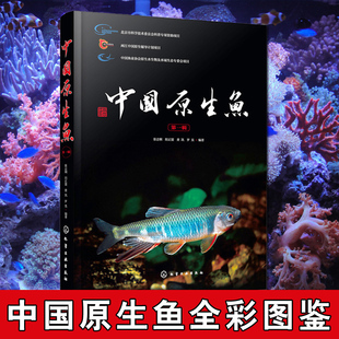 生态学 课外读物 第一辑 科学与自然 海洋生物知识书 原生鱼书籍 中国原生鱼 动物书籍 自然和谐人生观 鱼类学 科普书籍