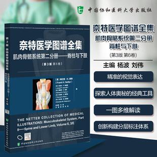 Frank 刘伟主编 .肌肉骨骼系统.第二分册 等著;杨波 Netter 弗兰克·H.奈特 美 脊柱与下肢 第3版 奈特医学图谱全集