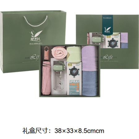 夏日绿色大礼包毛巾玻璃杯晴雨伞喷雾风扇牙膏牙刷定制实用礼品