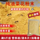 包邮 油菜花粉喂蜂 蜂花粉中蜂专用天然蜜蜂饲料花粉末意蜂养蜂蜂粮