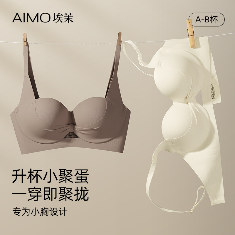 内衣女士小胸聚拢显大收副乳防下垂上托 托平胸专用不空杯无痕内