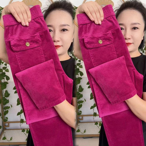 秋冬新款条绒休闲百搭萝卜九分裤