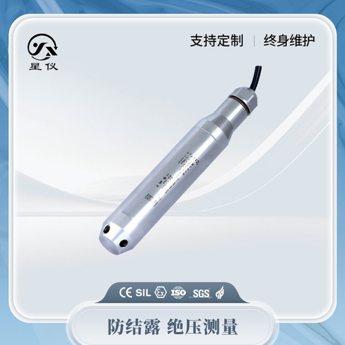 星仪CYW19绝压型投入式液位变送器RS485高精度防结露传感器水位计