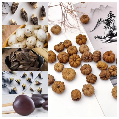 天然植物果实相框发夹diy果子材料植物标本幼儿园干花手工创意