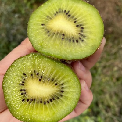 【商超品质】正宗陕西猕猴桃