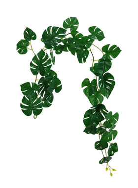 仿真龟背叶绿植 家居墙面空调管道 拱门装饰 过胶高仿 绿色假叶子