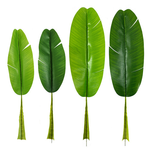 仿真绿植单片过胶芭蕉叶厂家直销