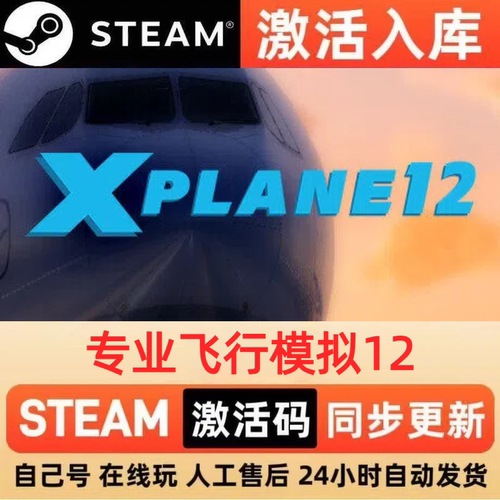 专业飞行模拟12steam正版激活码全球区CDKEY豪华版入库中文PC游戏