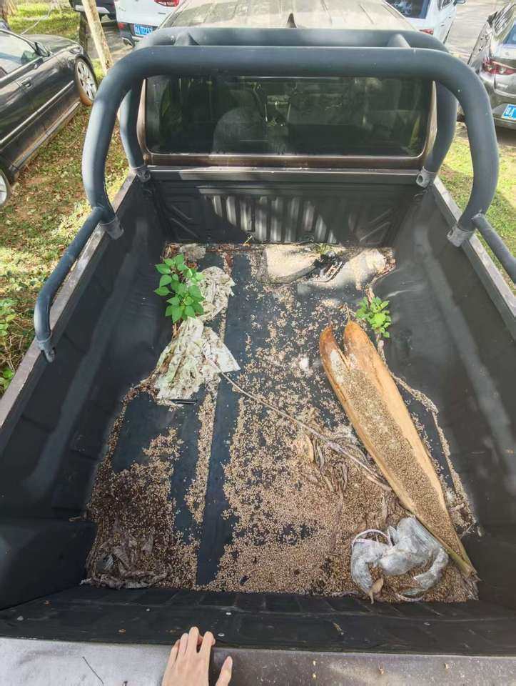 1月22日定安车牌号为琼BNU602长城牌CC1030QA60A轻型多用途货车（皮卡车）一辆（不包括车牌）网络拍卖公告