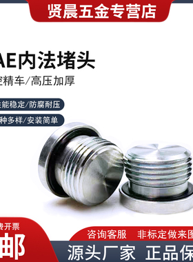 SAE系列镀锌/304/316不锈钢美制内六角带0圈密封法兰堵头40N5/16