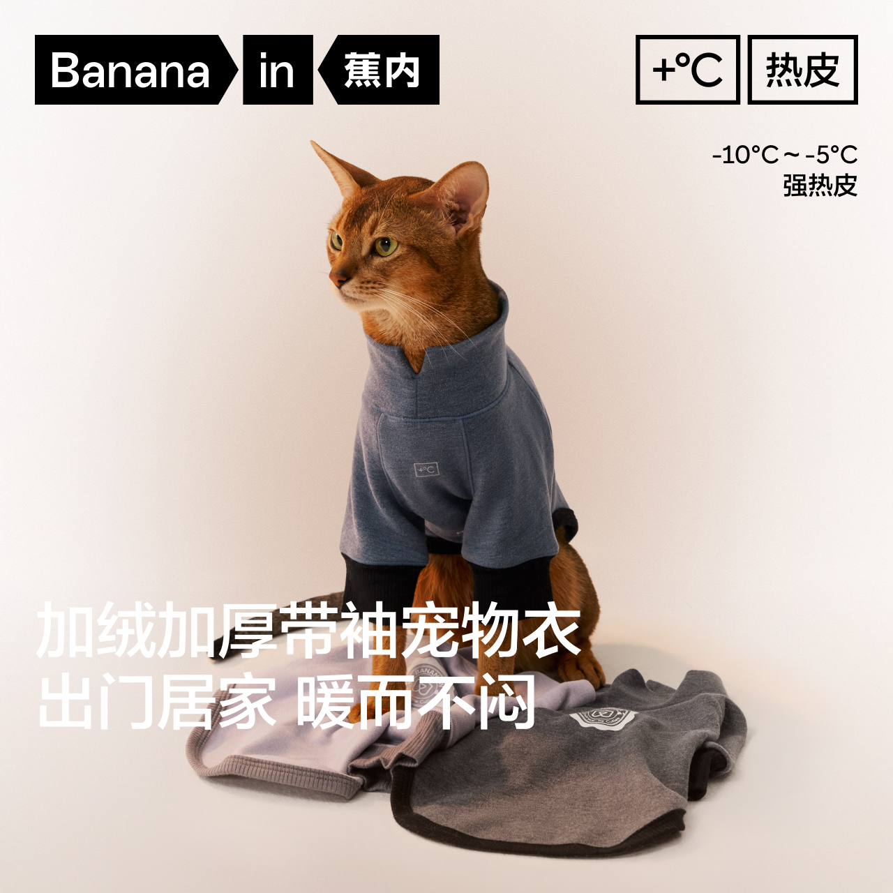 蕉内热皮502+++宠物保暖衣