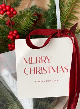 ins风红色圣诞节卡片礼物包装明信片礼品花束装饰用拍照道具贺卡