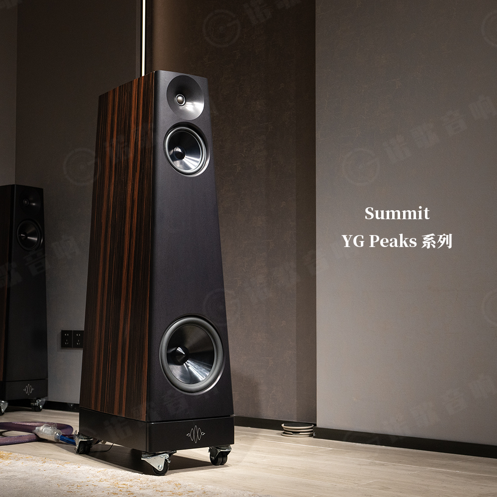 美国音箱YGPeaks发烧hifi