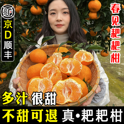 8年老店~正宗春见耙耙柑多汁甜