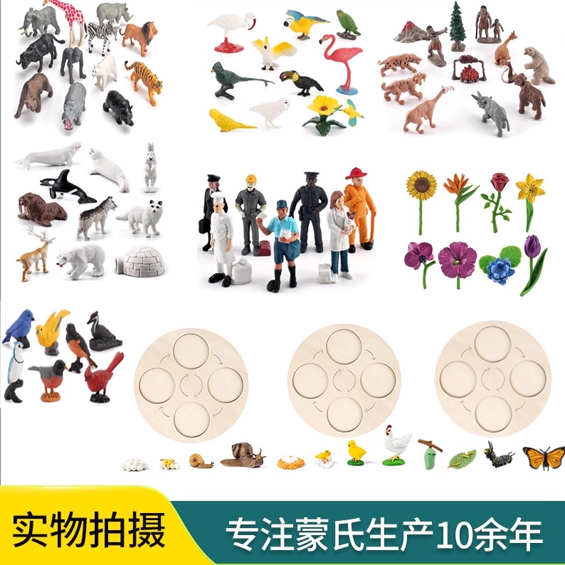 蒙氏仿真昆虫动植物生长周期模型