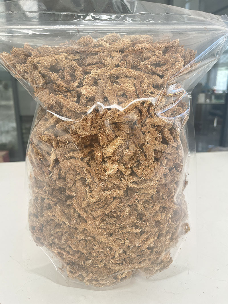 蝴蝶兰透明园艺工具铁丝图片