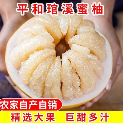 福建省平和白心柚子新鲜水果当季精品孕妇沙田柚蜜柚大果多汁包邮