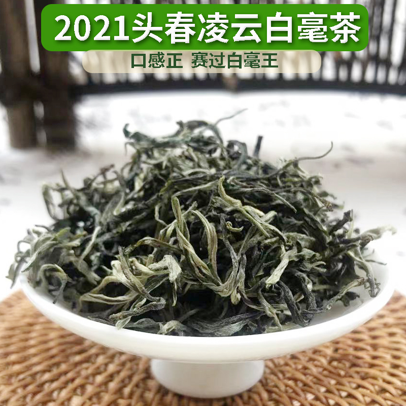 凌云白毫茶2024明前茶广西一级绿茶毛尖毛峰高山云雾清香250g