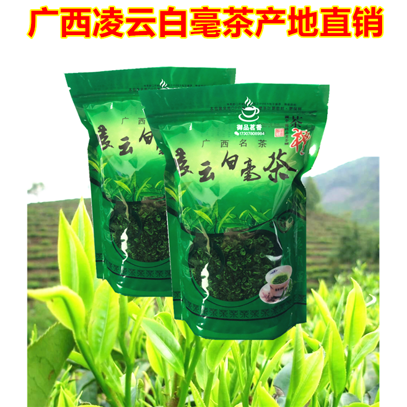 广西凌云白毫茶2024新茶碧螺春袋装碧螺春茶叶散装 500g浓香茶叶