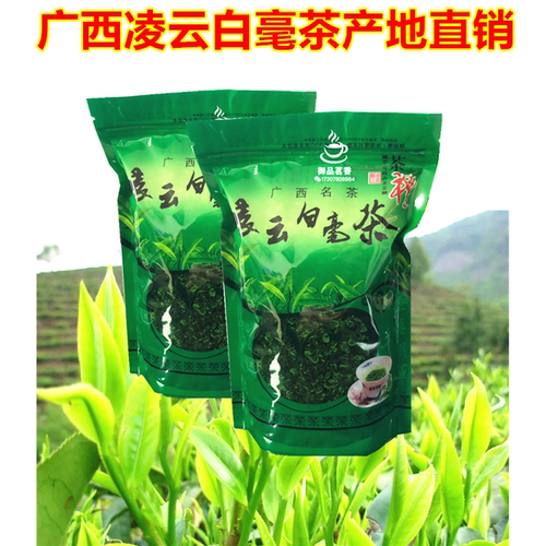 广西凌云白毫茶2026新茶碧螺春袋装碧螺春茶叶散装 500g浓香茶叶