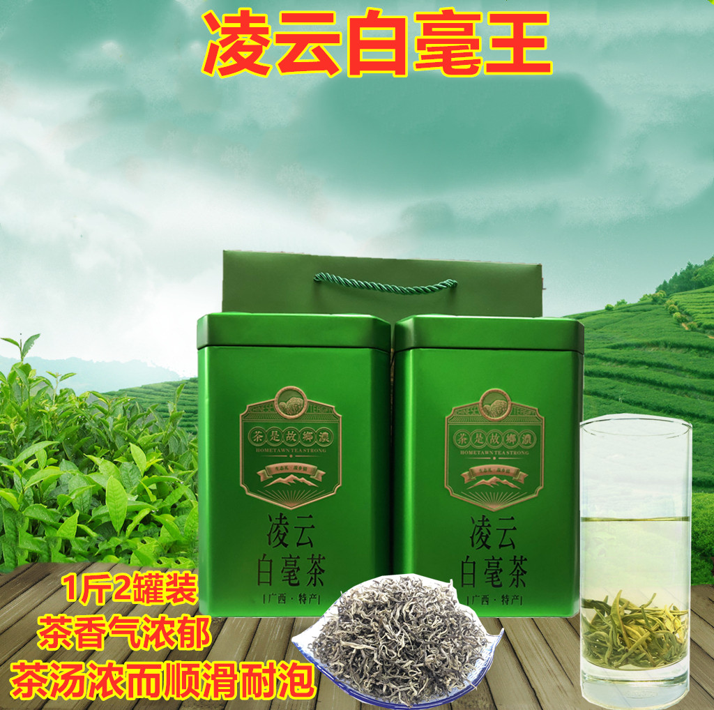 2024头春茶广西凌云白毫茶特级凌云绿茶碧螺春白毫王浓香茶叶