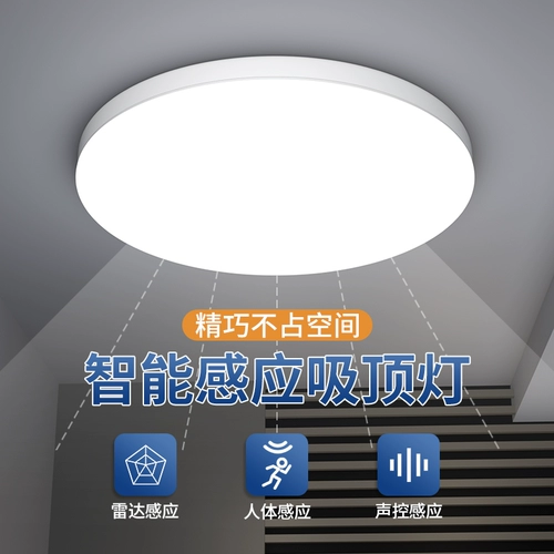 Светодиодный индукционный физиологичный умный потолочный светильник подходит для лестницы для коридора, человеческий датчик