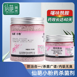 仙葩小粉药噻呋酰胺多肉月季炭疽病黑斑黑腐烟煤病土壤杀菌剂家用