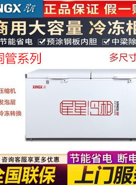 XINGX/星星BD/BC-518GDT 718升全铜管商用单温冷冻冷藏大容量冰柜