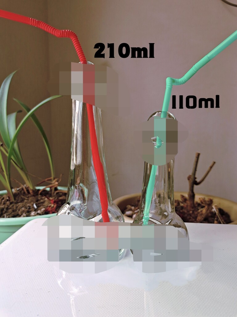 情侣个性玻璃酒杯洋酒杯香槟杯子威士忌创意美女造型男女酒具套装