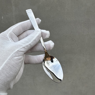 德国海马WATERFORD 18-10不锈钢学生餐勺饭勺中号西餐勺子