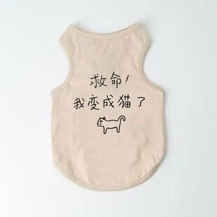 复古猫咪衣服秋冬德文司芬克斯无毛猫衣服春夏宠物狗狗背心空调服