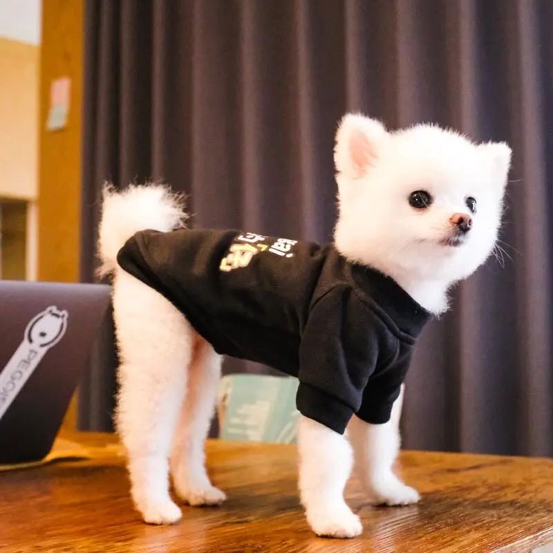 小狗狗衣服秋冬款泰迪比熊小鹿犬小型犬网红猫咪宠物春秋冬季背心