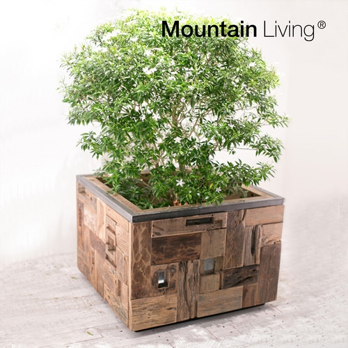 MountainLiving进口柚木花盆框