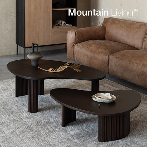 MountainLiving进口茶几组