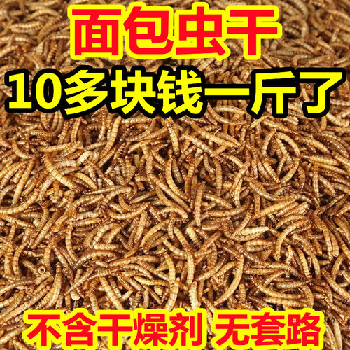 山东黄粉虫一斤包邮干面包虫干