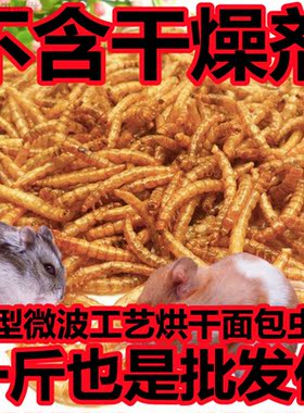 山东烘干面包虫干黄粉虫干批发