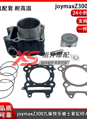 适用三阳九妹300JoymaxZ300哈士奇300中缸快乐骑士套缸活塞环垫片