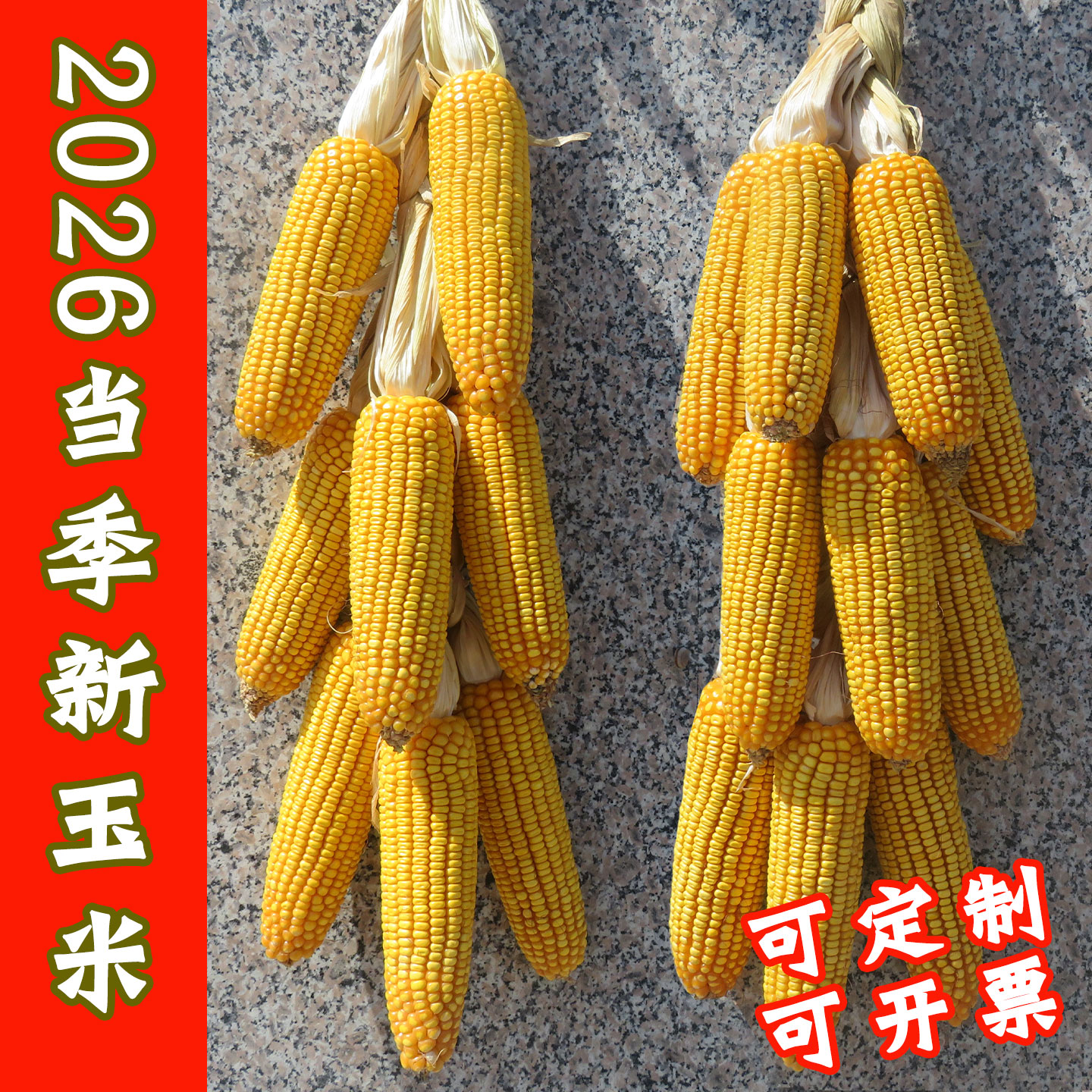 真玉米棒带叶苞谷农作物装饰干玉米穗带皮农家乐饭店真玉米串挂件