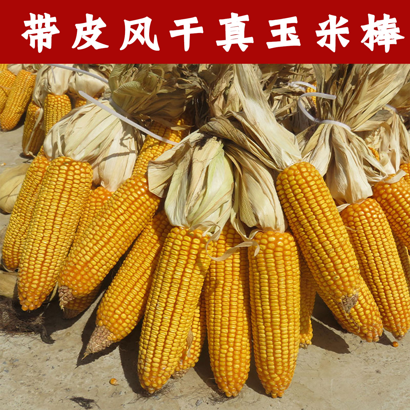干玉米棒子装饰农家乐农作物丰收节带皮教学活动道具真玉米串挂件