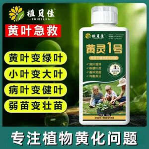 小黄灵叶面肥螯合水溶肥盆栽小叶黄叶壮苗生根绿植通用型全营养肥